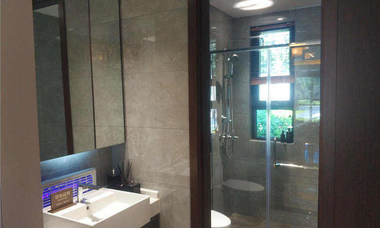 力高悦麓兰庭样板间