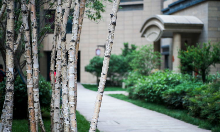 九锦云廷实景图