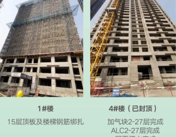 格林世界施工进度图