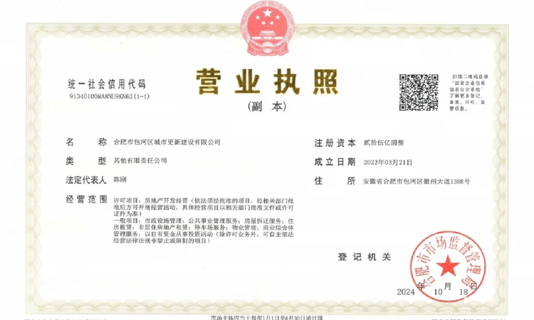 滨投嘉玺楼盘证照