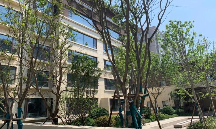 睿湖美景实景图