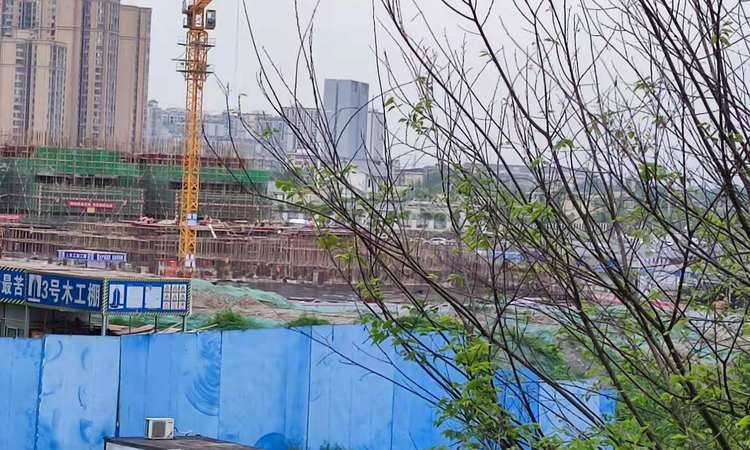 融信瑞和·悦湖实景图