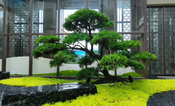 中海九樾实景图