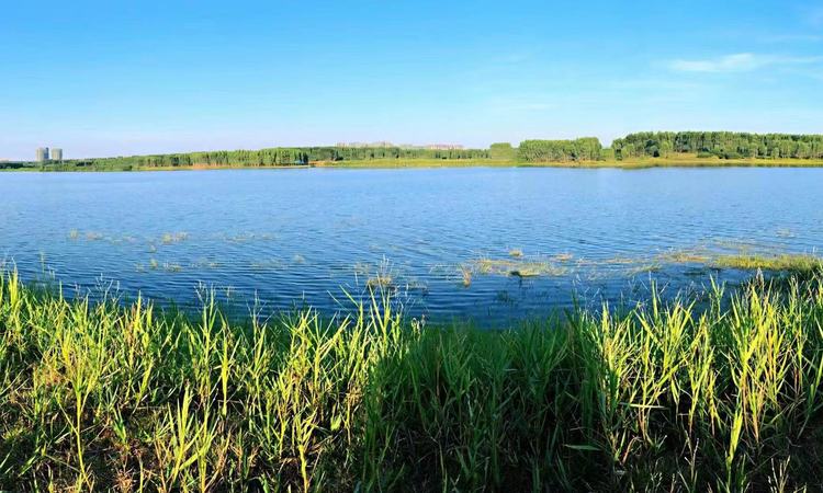 雷州·鼎龙城实景图
