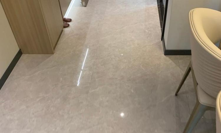 拾悦城楠园样板间