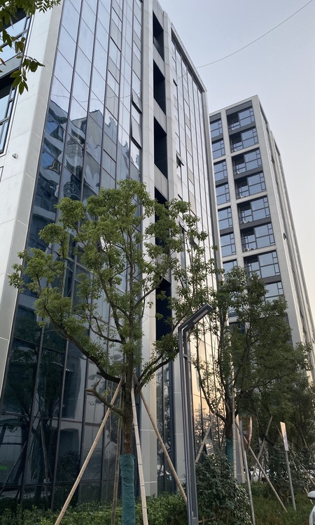 城市智荟施工进度图