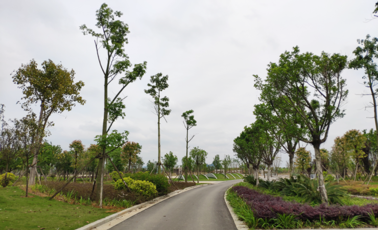 兴佳城周边配套图