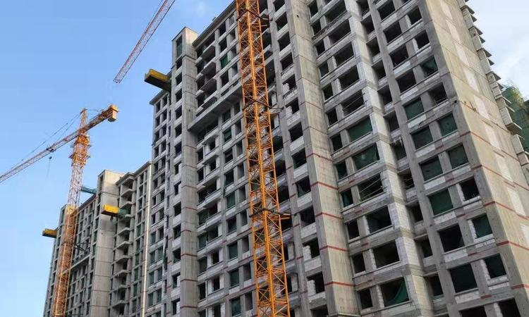 南益·名士华府施工进度图