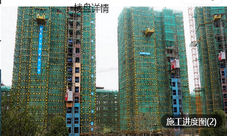 恒大山水郡施工进度图