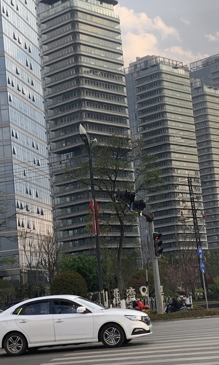 山海湾8号施工进度图