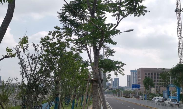 恺德光谷熙园周边配套图
