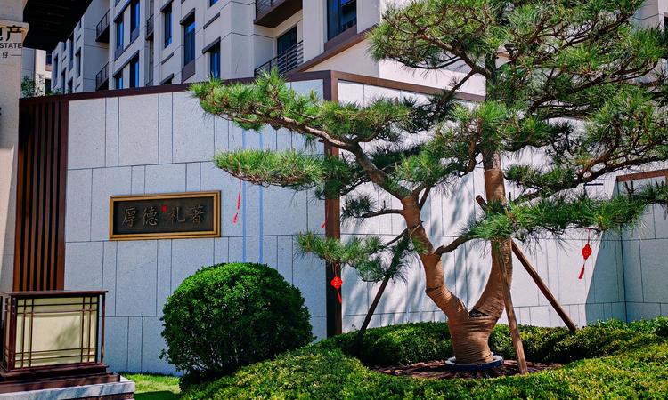 厚德福城II礼著实景图