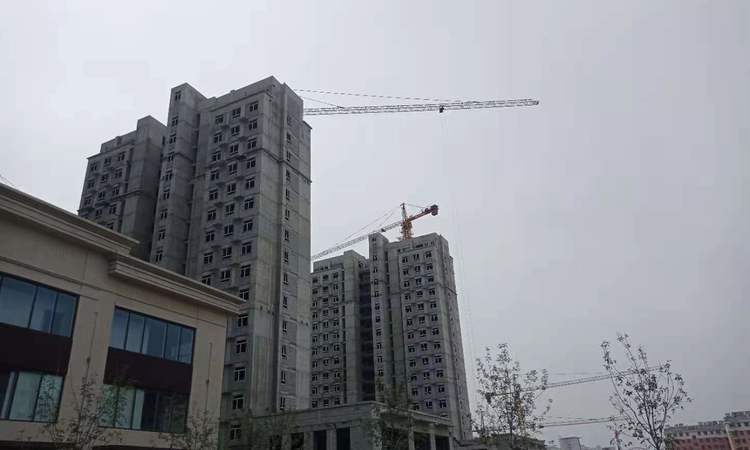 嘉业•中央公园施工进度图