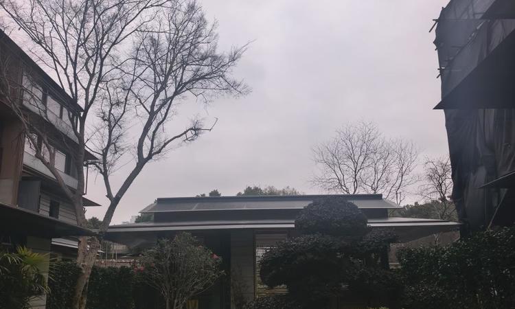 绿城湖畔雲庐实景图