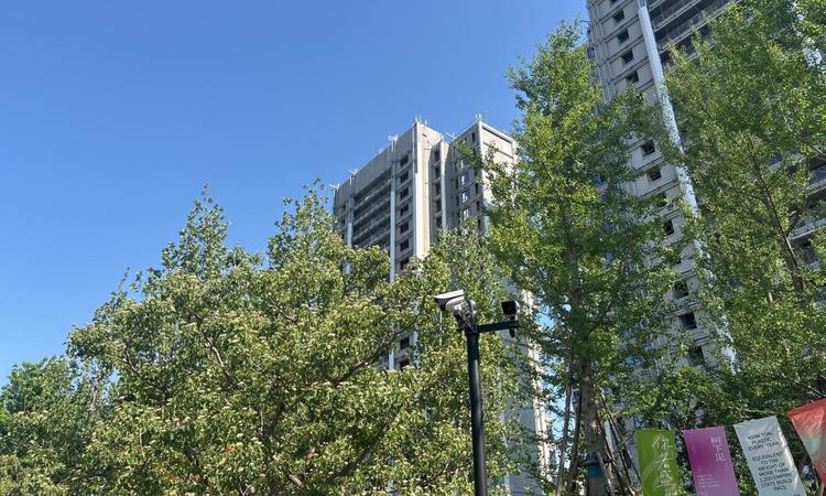 金茂泮湖满庭实景图