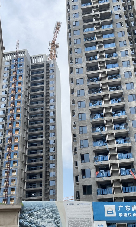 武汉碧桂园·江城纪实景图