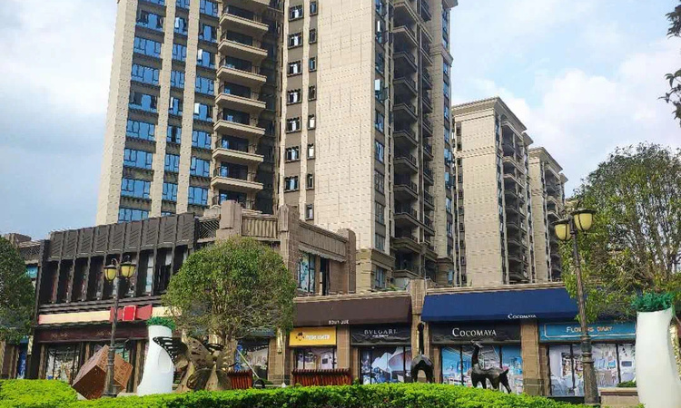 恒大滨江左岸实景图