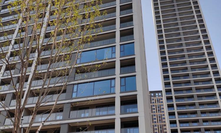 常绿蓝城·金水宸苑施工进度图