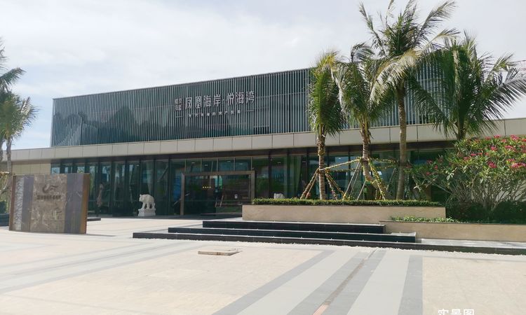凤凰海岸·悦海湾实景图