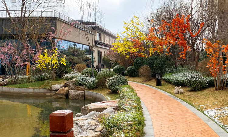 泰昌·悦湖庄园实景图