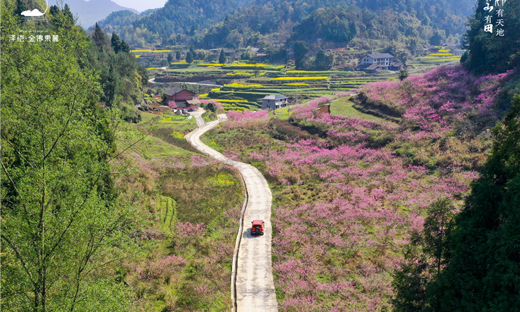 泽恺·金佛东麓实景图