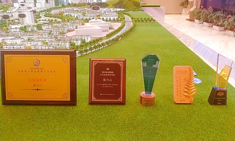 富力山楼盘证照