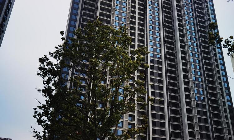 华发都荟天地实景图