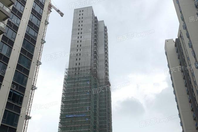 江门碧桂园·凤凰城实景图