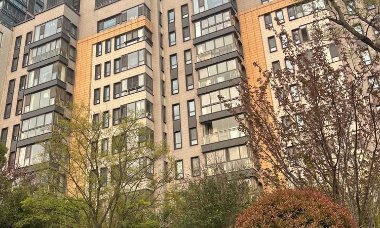 上海长滩施工进度图