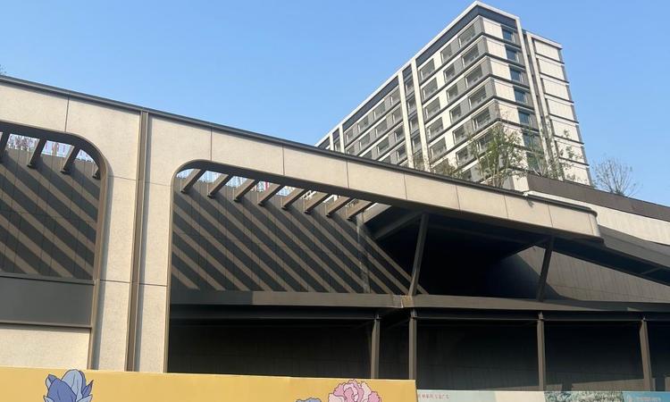 京投发展·森与天成实景图