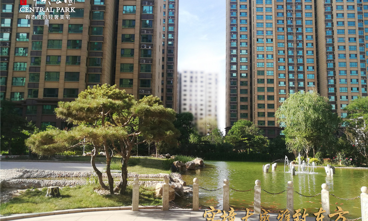 盛紫中央公园施工进度图