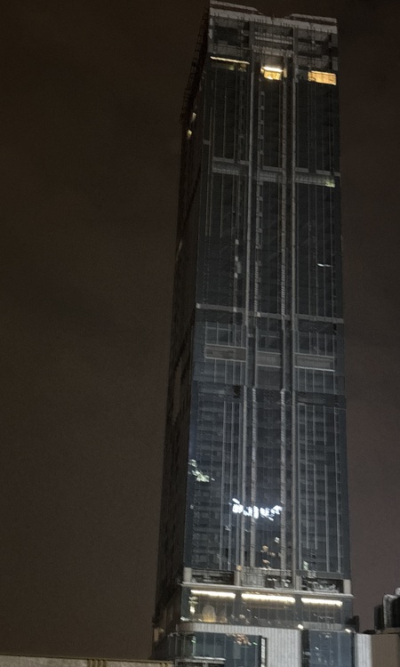 龙湖清能滨江国际施工进度图