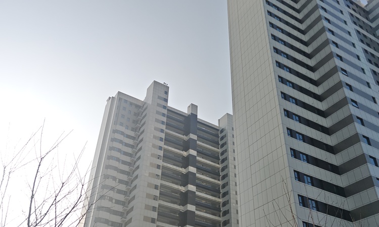 中国铁建花语天境施工进度图