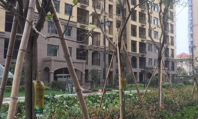 晋开·四季城施工进度图