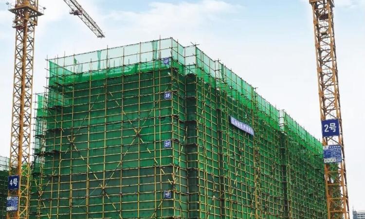 大华紫樾府施工进度图