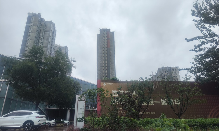 爱情缤纷里施工进度图