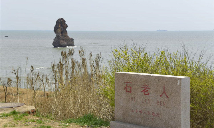 银丰玖玺城·珺府周边配套图