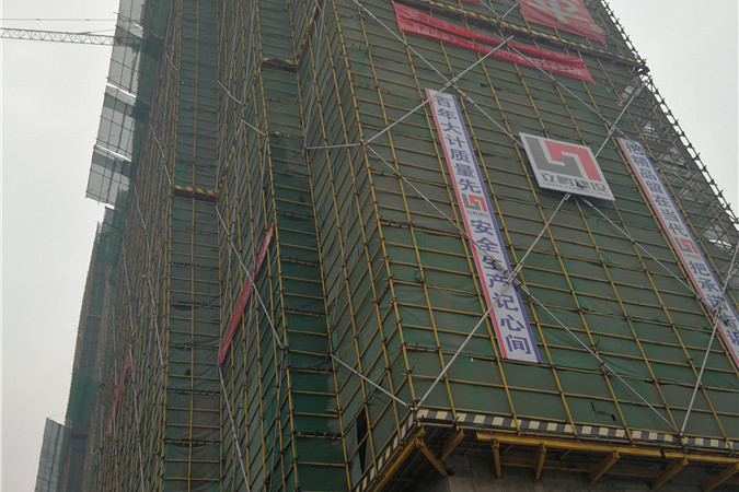 华鸿万墅实景图