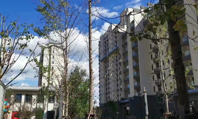 左岸景林·裕畅苑实景图