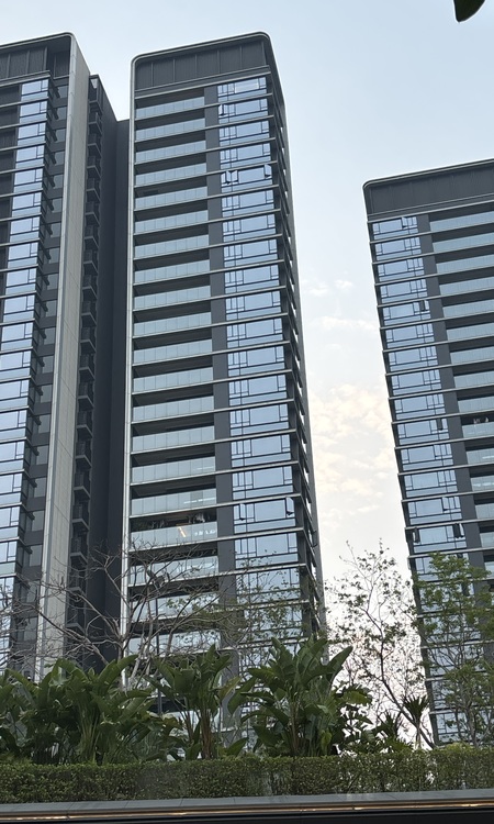 中海荔府施工进度图