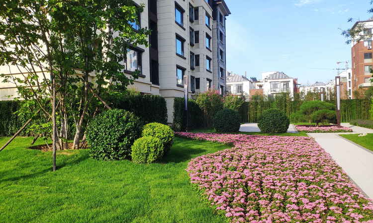 和泓·瀚文府实景图