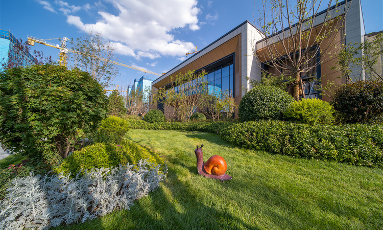 宁夏中房花语轩北区实景图