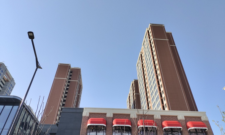 时代艺境 拾光艺境园施工进度图