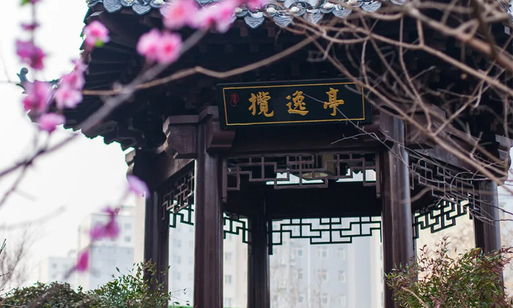 荣盛·君悦学府实景图