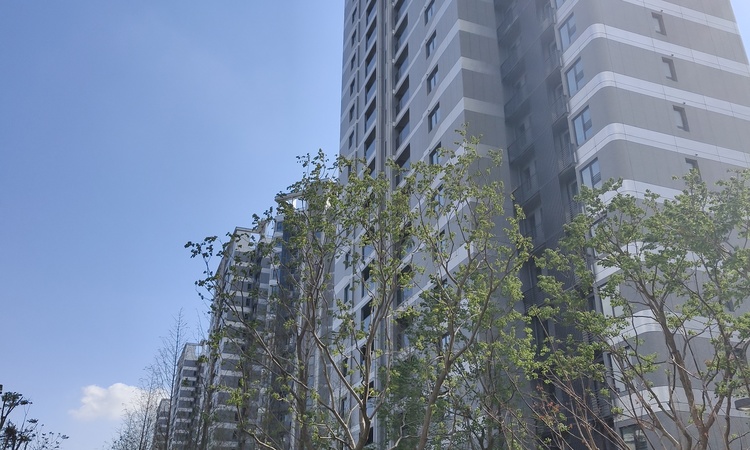 中建玖海云天施工进度图