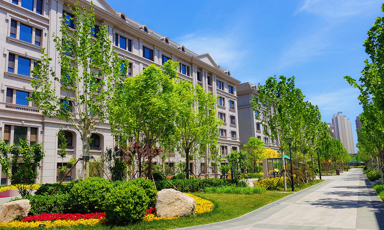 建投紫云东实景图