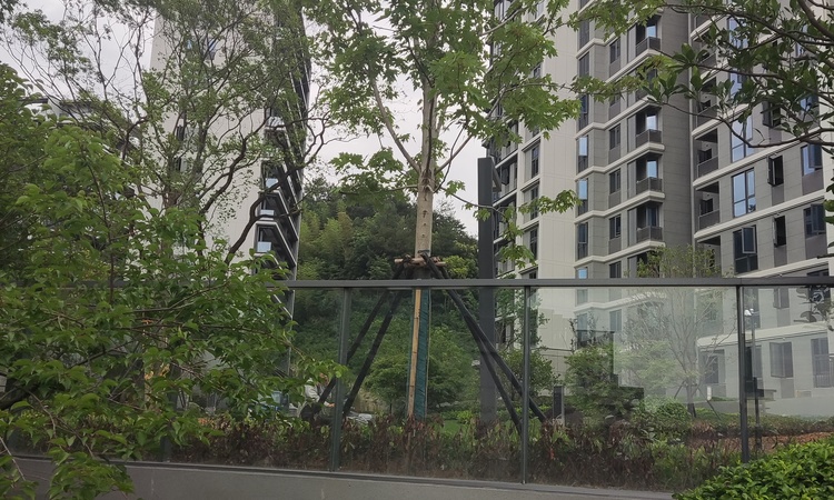 如沐清晖城实景图