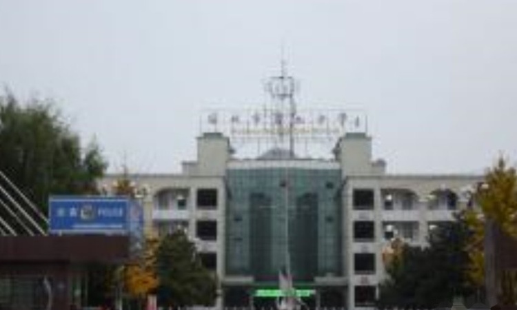 苹果国际实景图