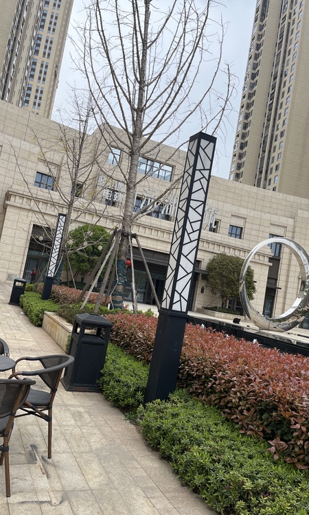 武汉城建·电建｜汤湖观筑实景图