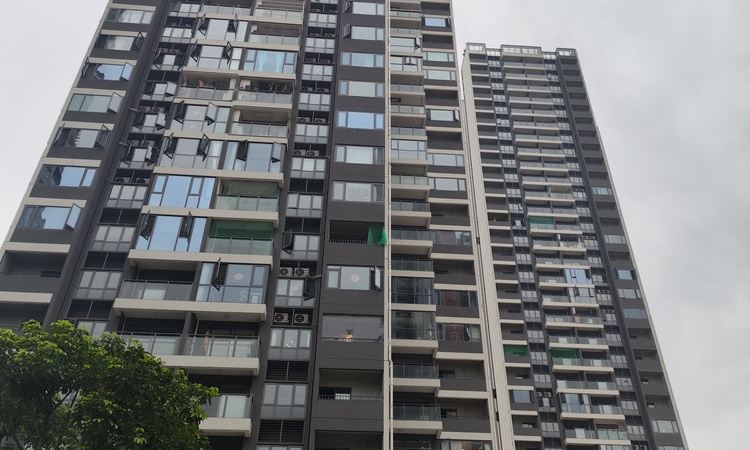 璟荟名庭施工进度图